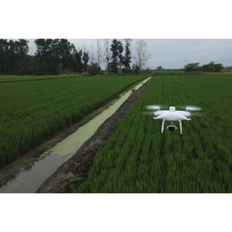 Phantom 4 Multispectral flying over a rice paddy field