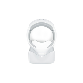 DJI Goggles