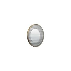 PolarPro LiteChaser iPhone 13/14 GoldMorphic Filter