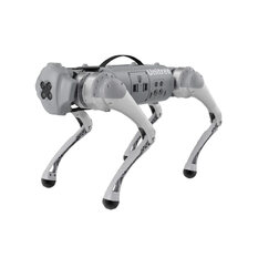 Unitree Go1 Pro (Robot Dog)